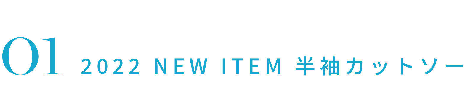 2022 NEW ITEM 半袖カットソー