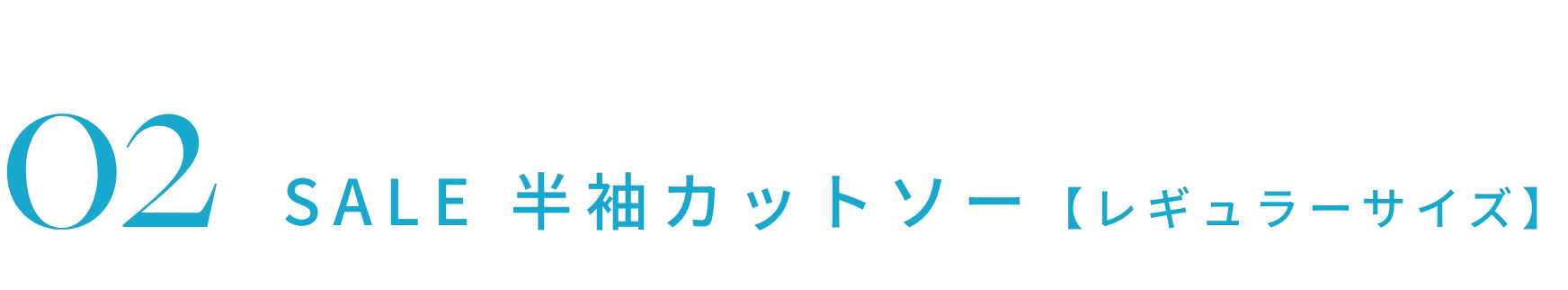 SALE 半袖カットソー【レギュラーサイズ】