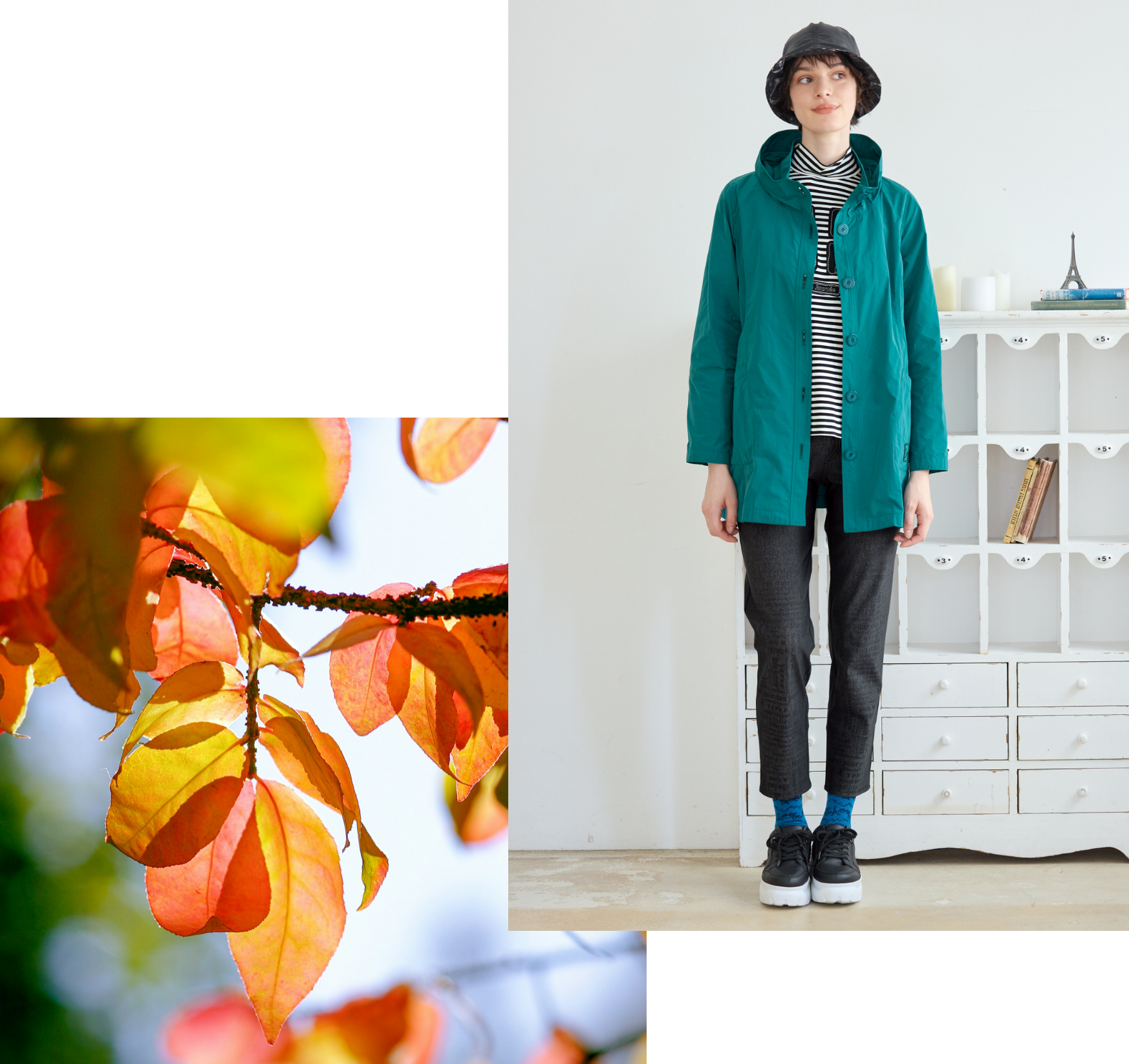 トピィーズ 着映えするカラーアウタースタイル